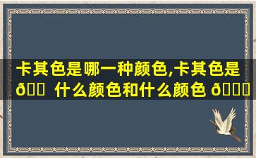 卡其色是哪一种颜色,卡其色是 🐠 什么颜色和什么颜色 🐕 调出来的